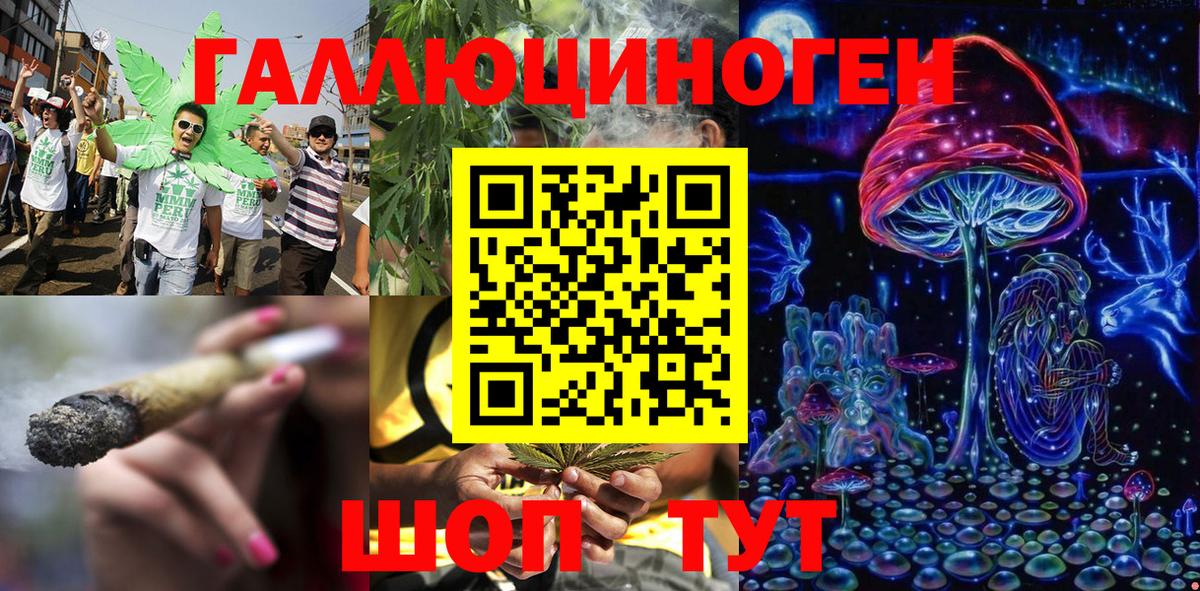 Галлюциногенные грибы мухоморы Волхов