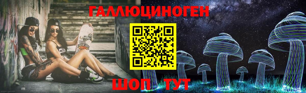 Галлюциногенные грибы GOLDEN TEACHER  Псилоцибиновые грибы прущие грибы  Вход с VPN  Волхов 